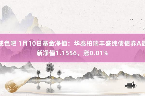 戒色吧 1月10日基金净值：华泰柏瑞丰盛纯债债券A最新净值1.1556，涨0.01%