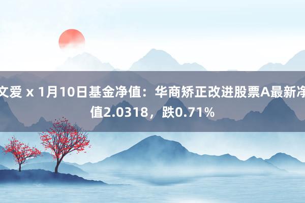文爱 x 1月10日基金净值：华商矫正改进股票A最新净值2.0318，跌0.71%