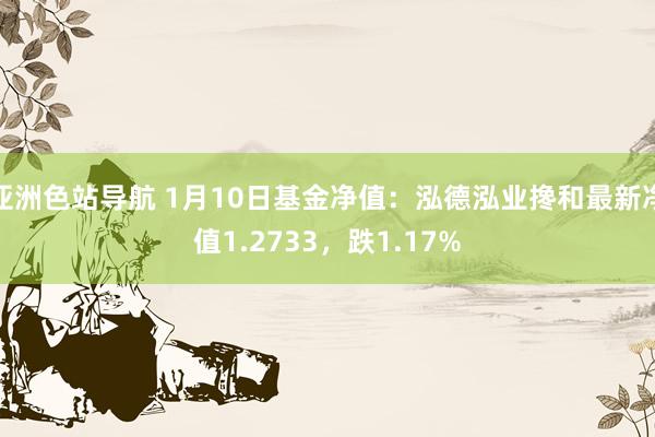 亚洲色站导航 1月10日基金净值：泓德泓业搀和最新净值1.2733，跌1.17%