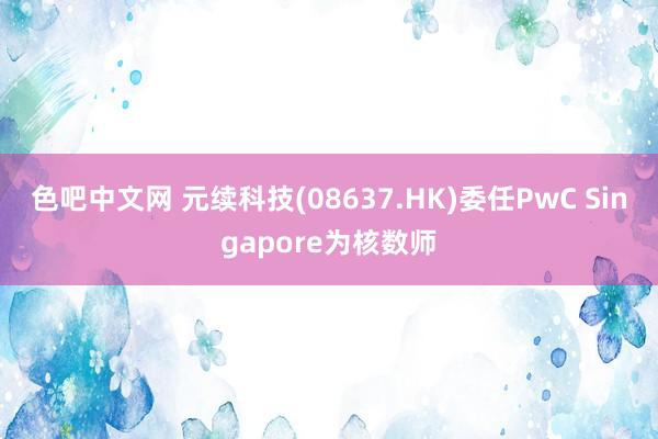 色吧中文网 元续科技(08637.HK)委任PwC Singapore为核数师