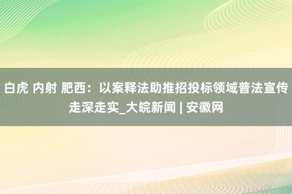 白虎 内射 肥西：以案释法助推招投标领域普法宣传走深走实_大皖新闻 | 安徽网