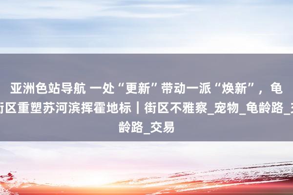 亚洲色站导航 一处“更新”带动一派“焕新”，龟龄街区重塑苏河滨挥霍地标｜街区不雅察_宠物_龟龄路_交易