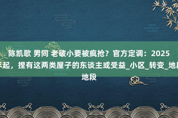 陈凯歌 男同 老破小要被疯抢？官方定调：2025年起，捏有这两类屋子的东谈主或受益_小区_转变_地段