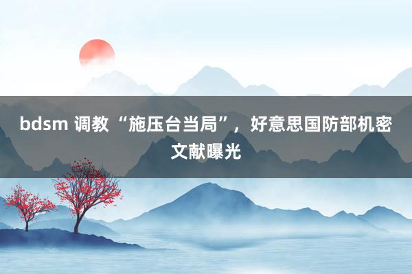 bdsm 调教 “施压台当局”，好意思国防部机密文献曝光