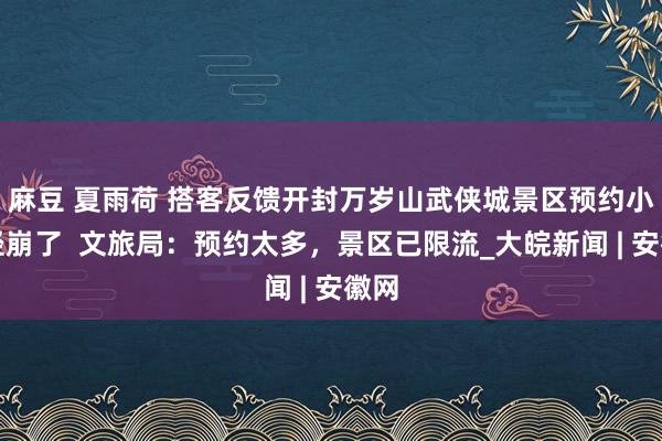 麻豆 夏雨荷 搭客反馈开封万岁山武侠城景区预约小门径崩了  文旅局：预约太多，景区已限流_大皖新闻 | 安徽网