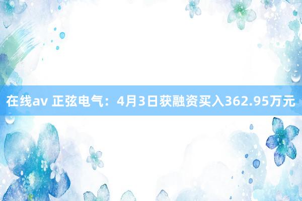 在线av 正弦电气：4月3日获融资买入362.95万元