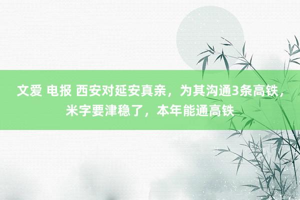 文爱 电报 西安对延安真亲，为其沟通3条高铁，米字要津稳了，本年能通高铁