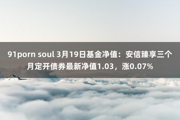 91porn soul 3月19日基金净值：安信臻享三个月定开债券最新净值1.03，涨0.07%