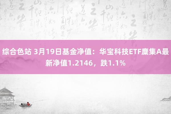 综合色站 3月19日基金净值：华宝科技ETF麇集A最新净值1.2146，跌1.1%