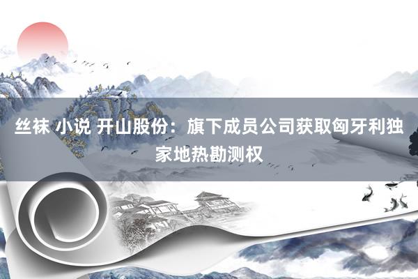 丝袜 小说 开山股份：旗下成员公司获取匈牙利独家地热勘测权