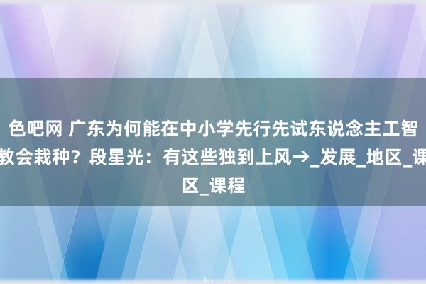 色吧网 广东为何能在中小学先行先试东说念主工智能教会栽种？段星光：有这些独到上风→_发展_地区_课程