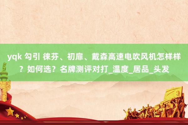 yqk 勾引 徕芬、初扉、戴森高速电吹风机怎样样？如何选？名牌测评对打_温度_居品_头发
