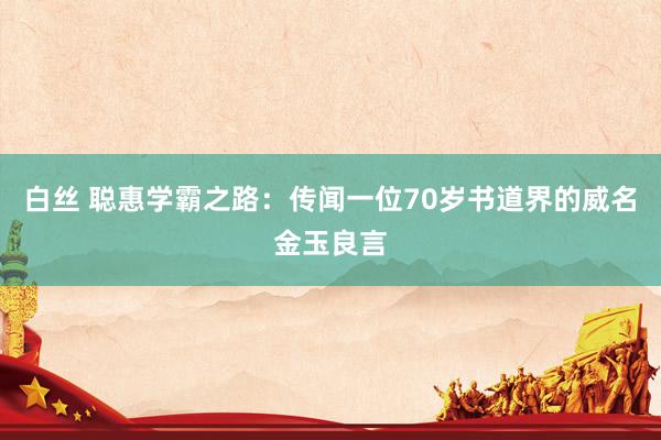 白丝 聪惠学霸之路:传闻一位70岁书道界的威名金玉良言