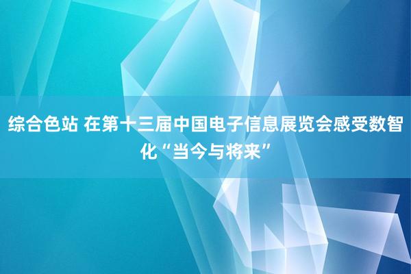 综合色站 在第十三届中国电子信息展览会感受数智化“当今与将来”
