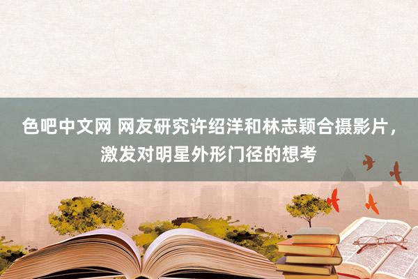 色吧中文网 网友研究许绍洋和林志颖合摄影片，激发对明星外形门径的想考