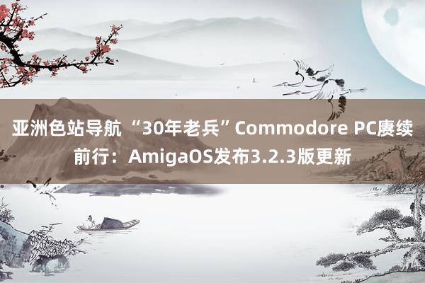 亚洲色站导航 “30年老兵”Commodore PC赓续前行：AmigaOS发布3.2.3版更新