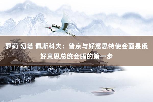 萝莉 幻塔 佩斯科夫：普京与好意思特使会面是俄好意思总统会晤的第一步