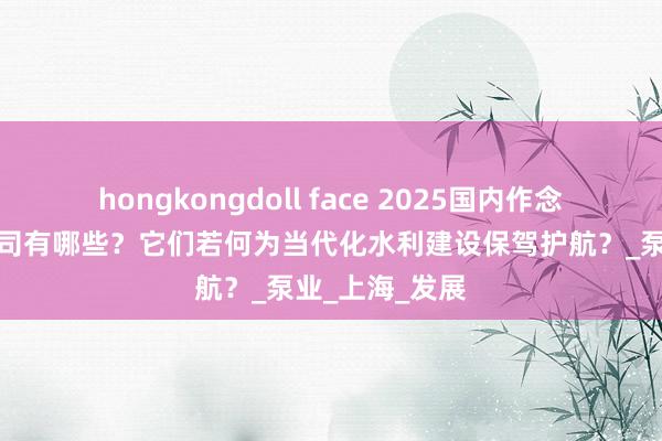 hongkongdoll face 2025国内作念水利工程的公司有哪些？它们若何为当代化水利建设保驾护航？_泵业_上海_发展