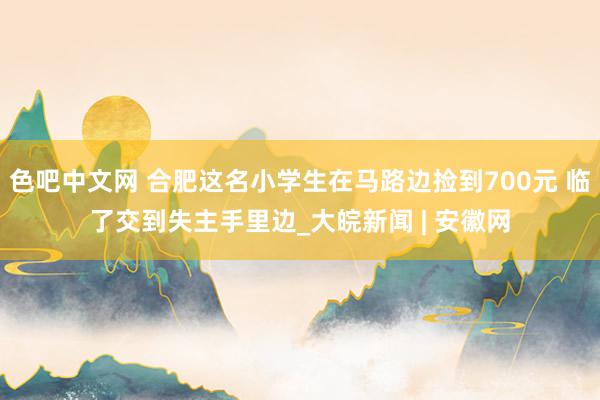 色吧中文网 合肥这名小学生在马路边捡到700元 临了交到失主手里边_大皖新闻 | 安徽网