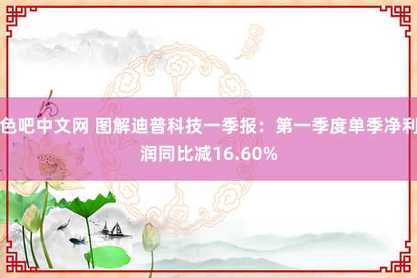 色吧中文网 图解迪普科技一季报：第一季度单季净利润同比减16.60%