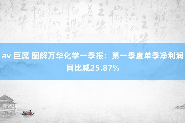 av 巨屌 图解万华化学一季报：第一季度单季净利润同比减25.87%