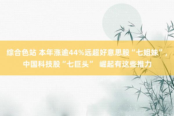 综合色站 本年涨逾44%远超好意思股“七姐妹”，中国科技股“七巨头”  崛起有这些推力