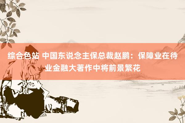 综合色站 中国东说念主保总裁赵鹏：保障业在待业金融大著作中将前景繁花