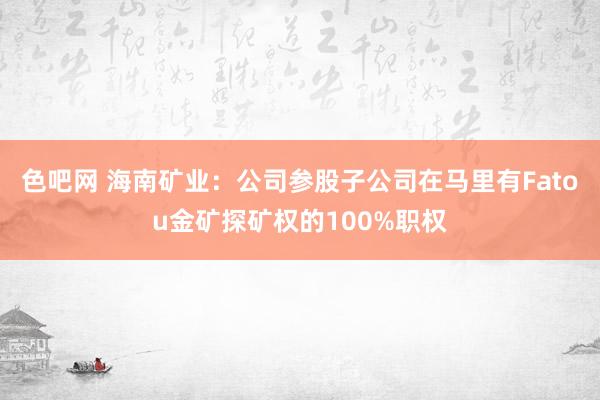 色吧网 海南矿业：公司参股子公司在马里有Fatou金矿探矿权的100%职权