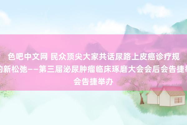 色吧中文网 民众顶尖大家共话尿路上皮癌诊疗规模的新松弛——第三届泌尿肿瘤临床琢磨大会会后会告捷举办