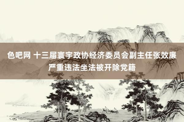 色吧网 十三届寰宇政协经济委员会副主任张效廉严重违法坐法被开除党籍