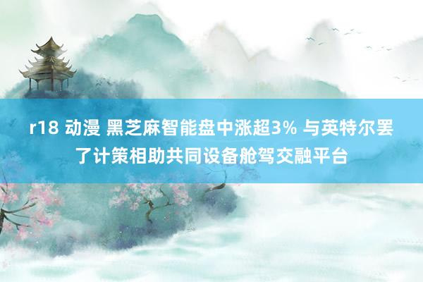 r18 动漫 黑芝麻智能盘中涨超3% 与英特尔罢了计策相助共同设备舱驾交融平台