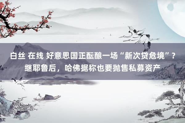 白丝 在线 好意思国正酝酿一场“新次贷危境”？继耶鲁后，哈佛据称也要抛售私募资产